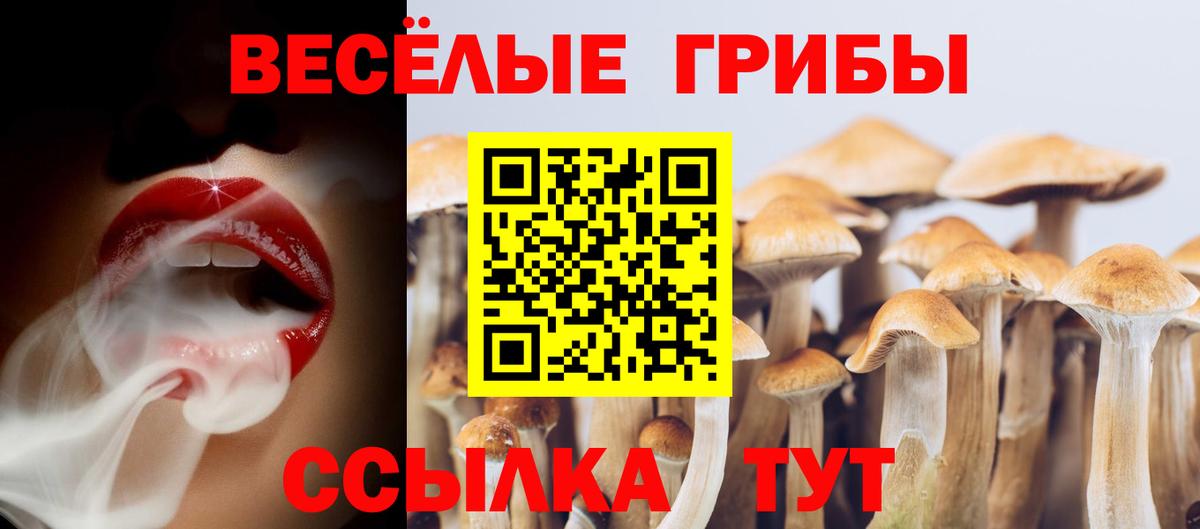 Псилоцибиновые грибы Cubensis Орск