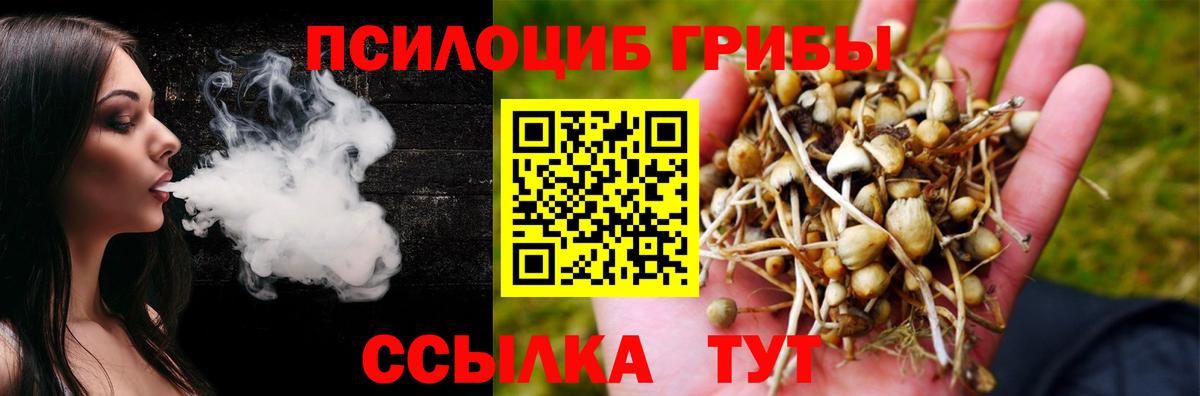 Псилоцибиновые грибы MAGIC MUSHROOMS  Вход с VPN  Галлюциногенные грибы ЛСД  Орск 